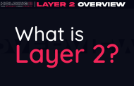 WHAT IS LAYER 2?