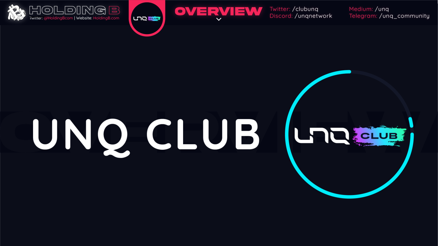 unq-club-the-first-nft-asset-management-platform-on-solana-holdingb