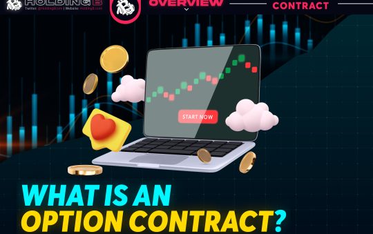 WHAT IS AN OPTION CONTRACT?
