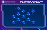 What is a Merkle Tree? Importance of Merkle Trees in Blockchain