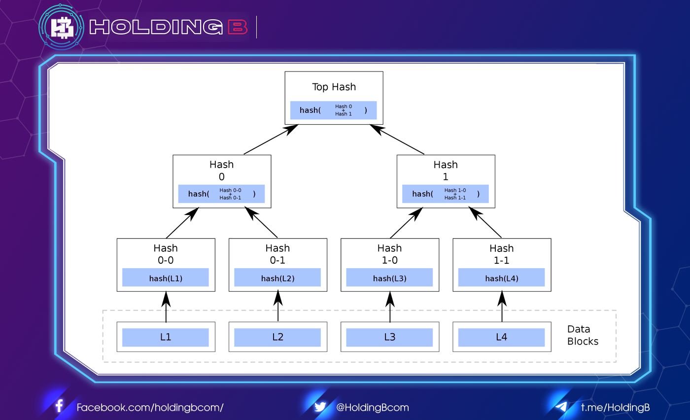 What Is A Merkle Tree? Importance Of Merkle Trees In Blockchain ...