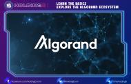 Learn The Basics – Explore The Algorand Ecosystem