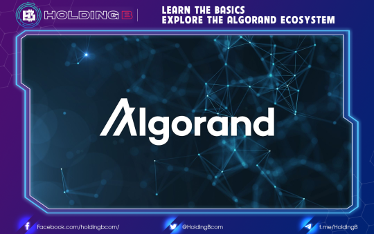 Learn The Basics – Explore The Algorand Ecosystem