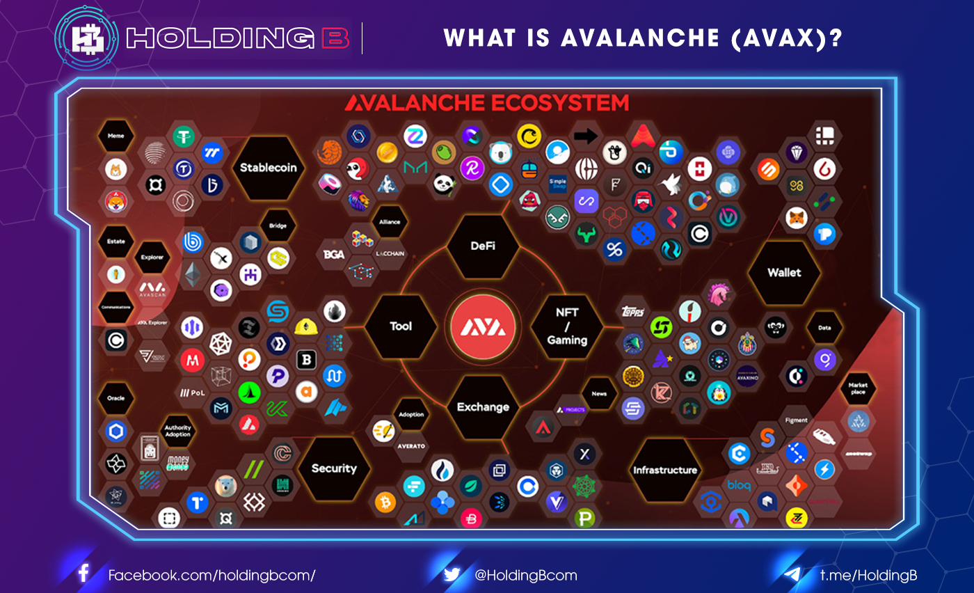 WHAT IS AVALANCHE (AVAX)? AVALANCHE ECOSYSTEM OVERVIEW (AVAX ...