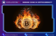 Burning Coins in Cryptocurrency