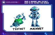 What is Mainnet and Testnet? How to do Testnet for Newbie