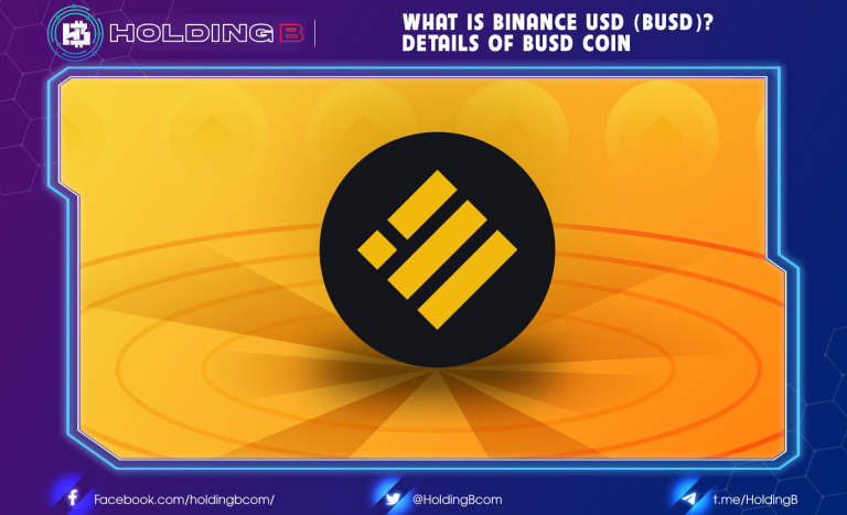 What Is Binance USD (BUSD)? Details Of BUSD Coin | HoldingB.com