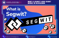 What is SegWit? How Segwit Works in Blockchain