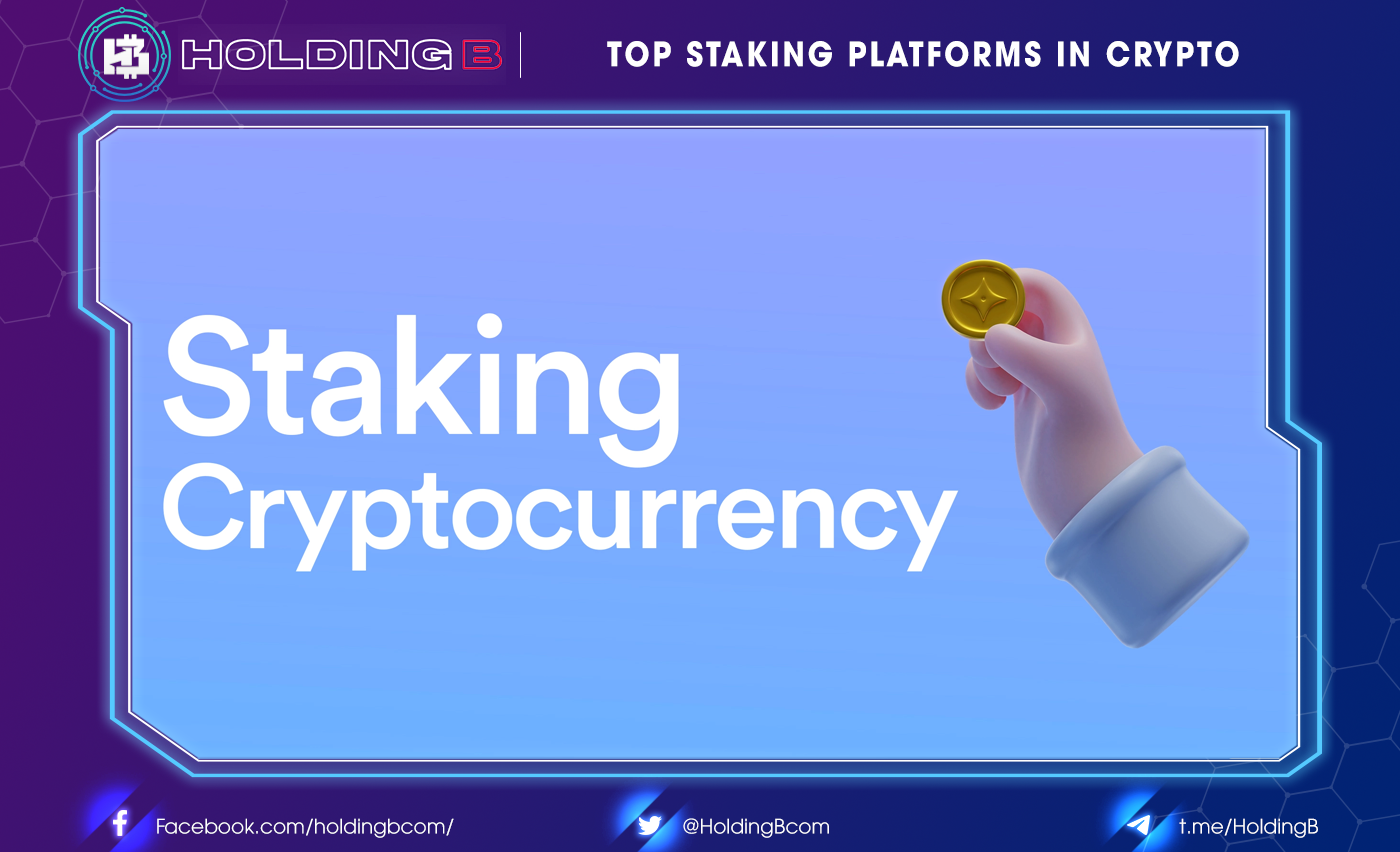 Top Staking Platforms In Crypto