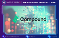 What Is Compound And How Does It Works?