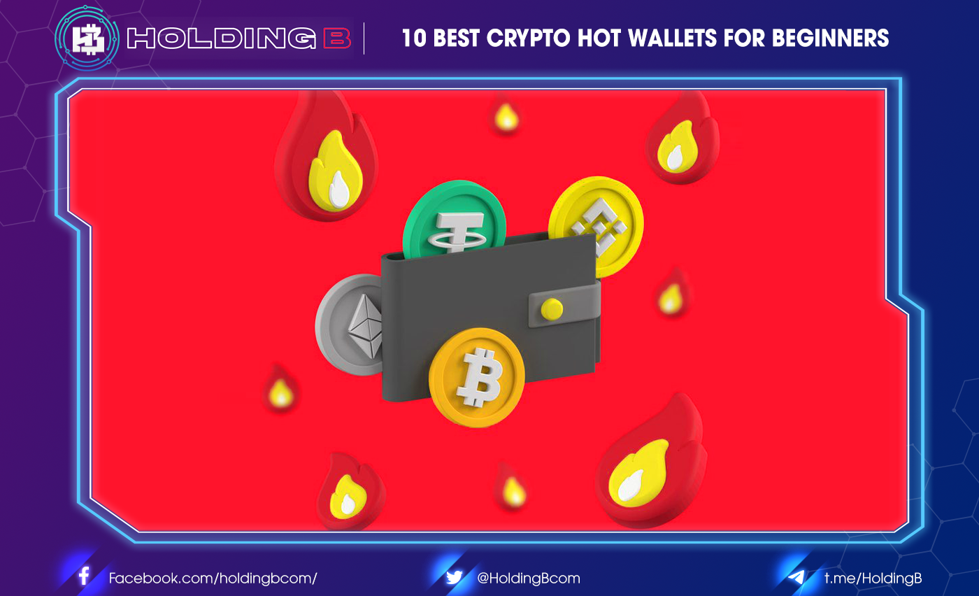 Top The Best Crypto Hot Wallets For Beginners