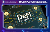 What is DeFi Ecosystem? Overview of the Pieces of the DeFi Ecosystem For Beginners