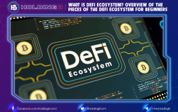 What is DeFi Ecosystem? Overview of the Pieces of the DeFi Ecosystem For Beginners