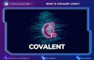 What is the Covalent (CQT)? The Web3 decentralized indexing & Query Protocol