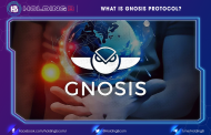 What Is Gnosis Protocol?