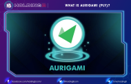 What Is Aurigami (PLY)?