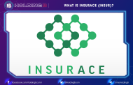 What Is InsurAce (INSUR) ?