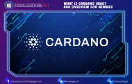 What is Cardano (ADA)? ADA Overview for Newbies