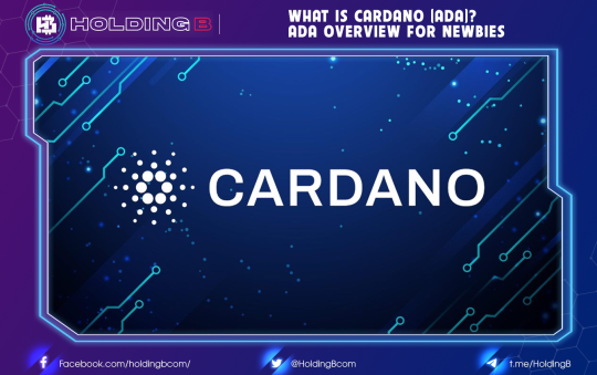 What is Cardano (ADA)? ADA Overview for Newbies