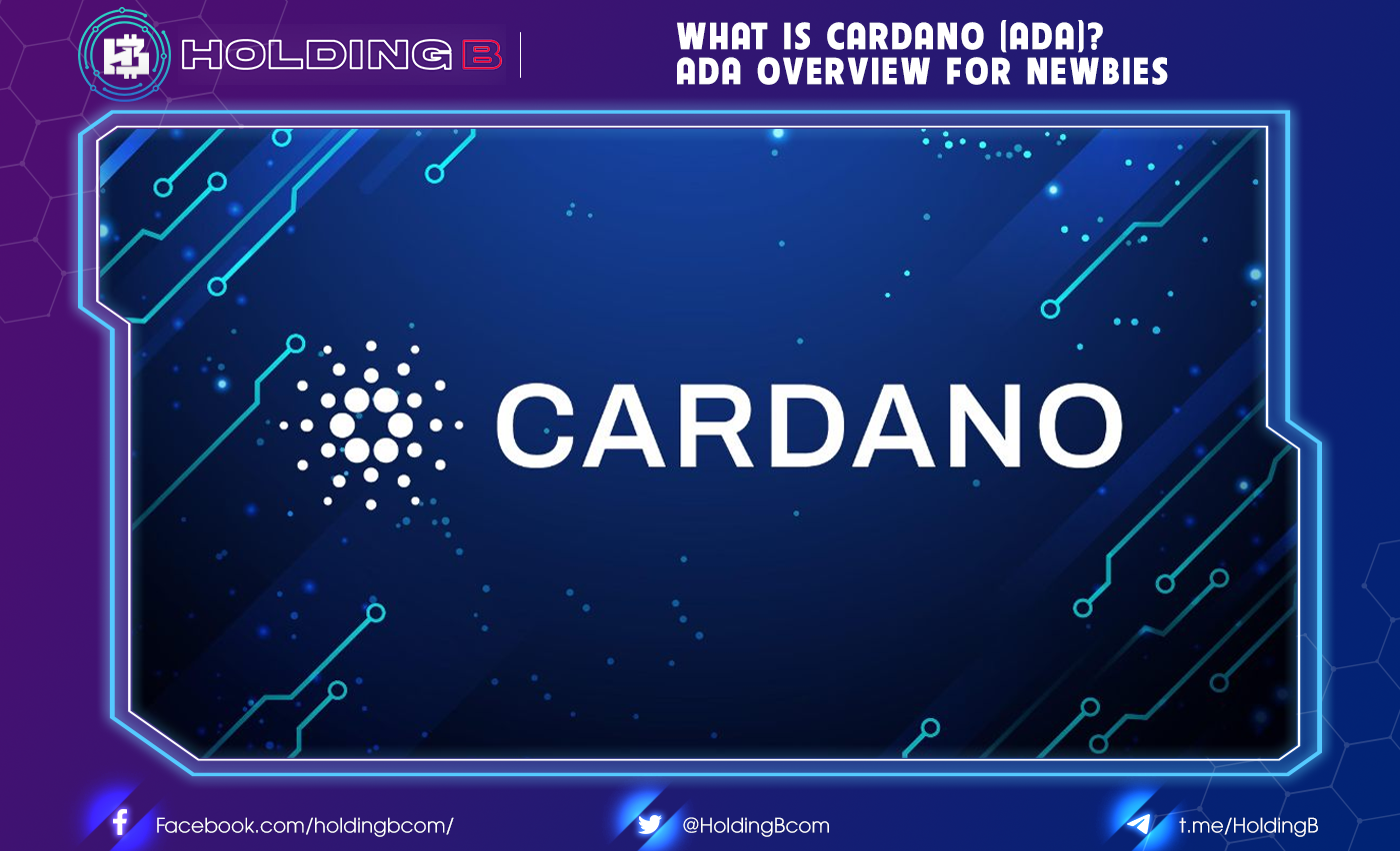 What is Cardano (ADA)? ADA Overview for Newbies