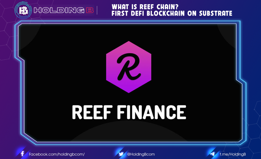 what is reef crypto