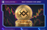 What is Binance Coin (BNB) ?