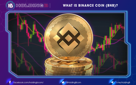 What is Binance Coin (BNB) ?