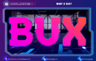 What is BUX?
