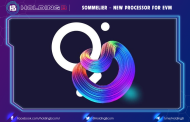 Sommelier – New Processor for EVM