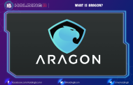What is Aragon?