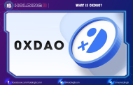 What is OxDAO?