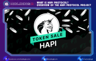 What is HAPI Protocol? Overview of the HAPI Protocol project