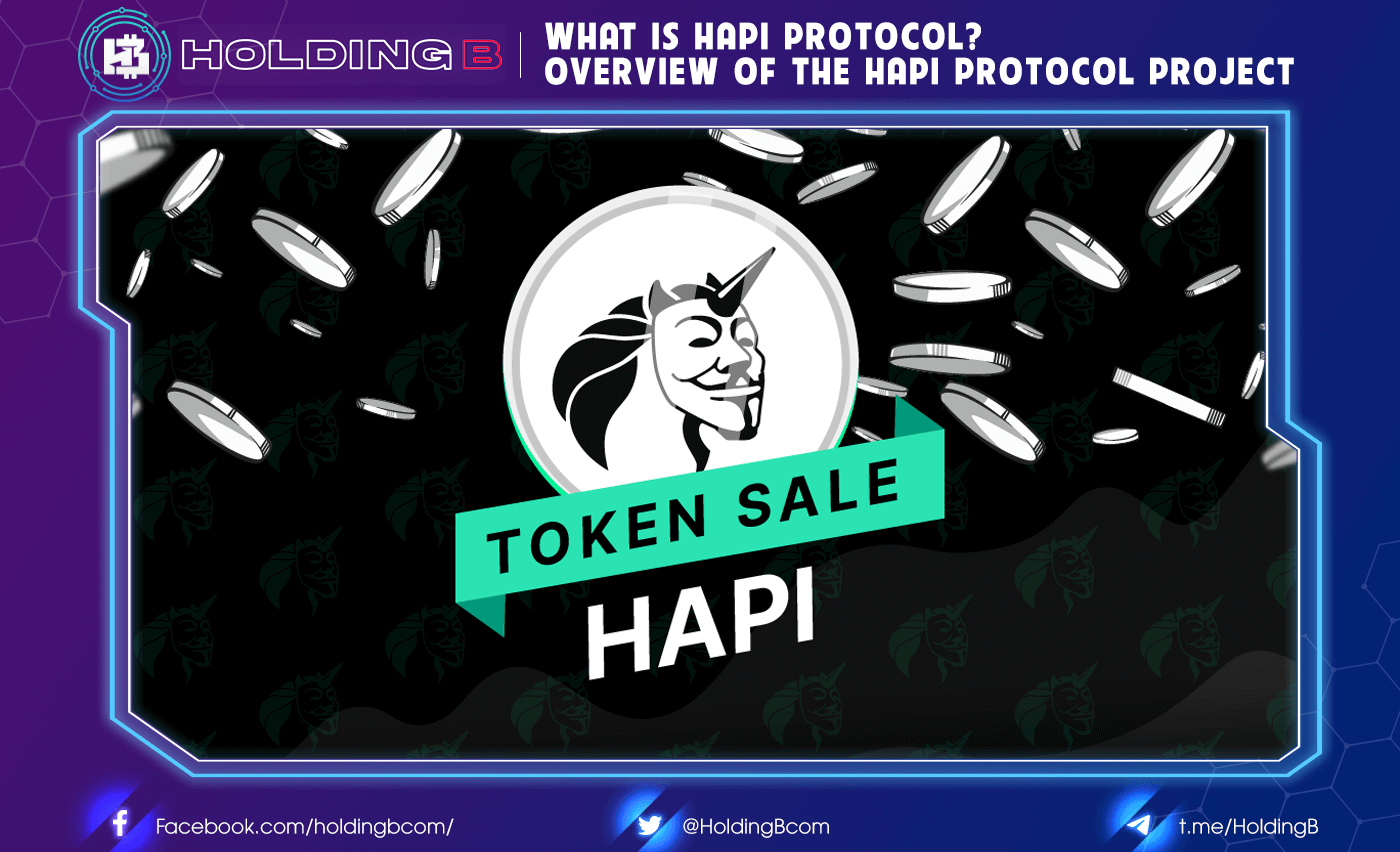 What is HAPI Protocol? Overview of the HAPI Protocol project