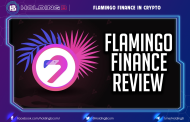 Flamingo Finance in Crypto