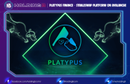 Platypus Finance – StableSwap Platform on Avalanche