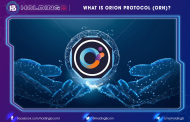 What is Orion Protocol (ORN)?