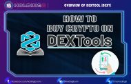 Overview of DexTool ( DEXT )