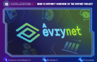 What is Evrynet? Overview of the Evrynet project