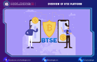 Overview of BTSE Platform