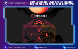What is ErgoDEX? Overview of ErgoDEX and the ERG coin of the Ergo ecosystem