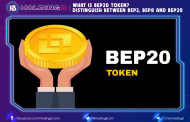What is BEP20 token? Distinguish Between BEP2, BEP8 And BEP20