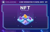 A Brief Introduction to Digital Assets – NFT