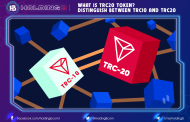 What is TRC20 token? Distinguish between TRC10 and TRC20