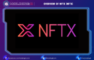 Overview of NFTX ( NFTX )