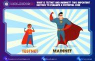 What Is Testnet And Mainnet? Two Important Factors To Evaluate A Potential Coin