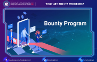 What Are Bounty Programs?