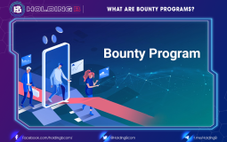 What Are Bounty Programs?