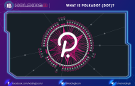 What is POLKADOT (DOT)? An open-source protocol built for everyone