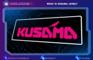 What is Kusama (KSM)? The Scalable, Multichain Network for Radical Innovation