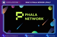 What is Phala Network (PHA)? The key to the world of privacy